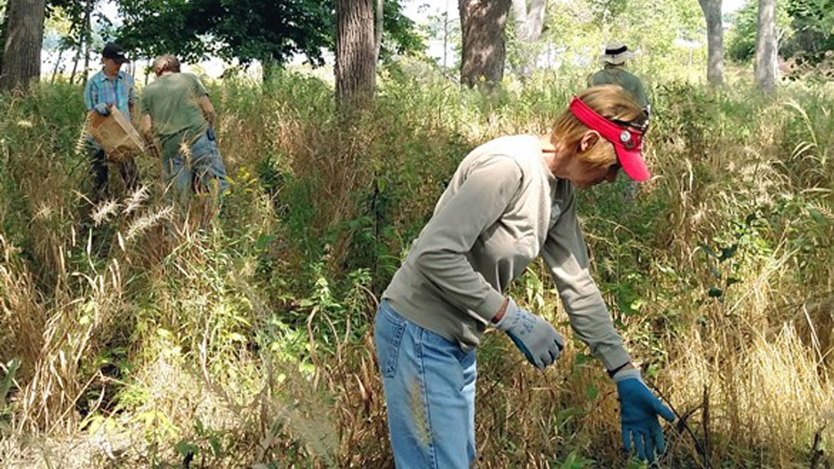 Restoration Workday at Lyons Woods Forest Preserve in Waukegan